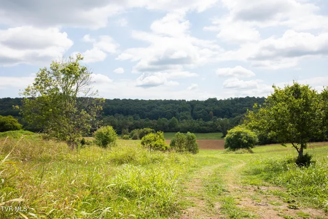 $650,000 | 2710 Jearoldstown Road, Chuckey, TN 37641