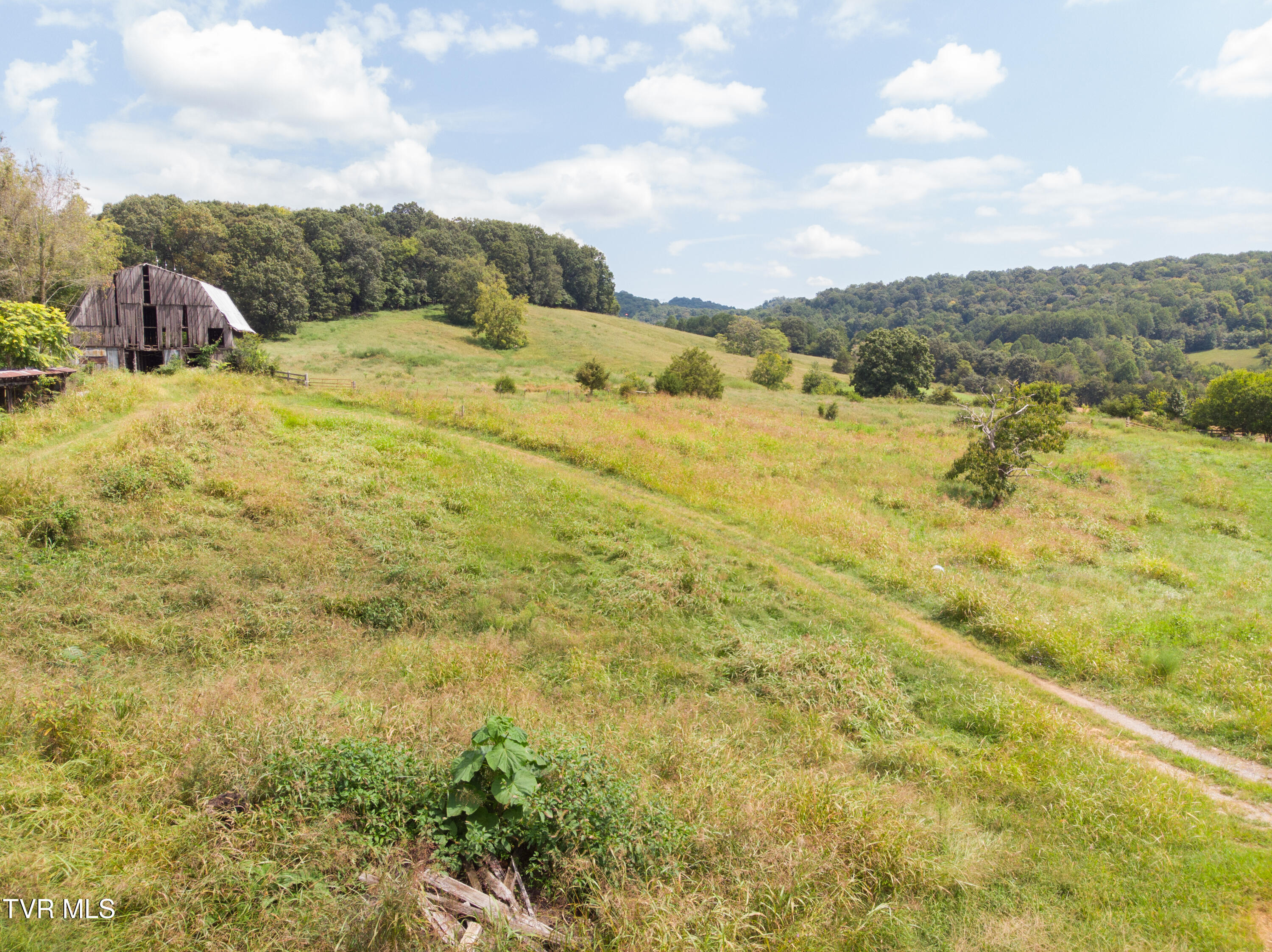 2710 Jearoldstown Road Chuckey, TN 37641 - Photo 41 of 48 DJI_0974