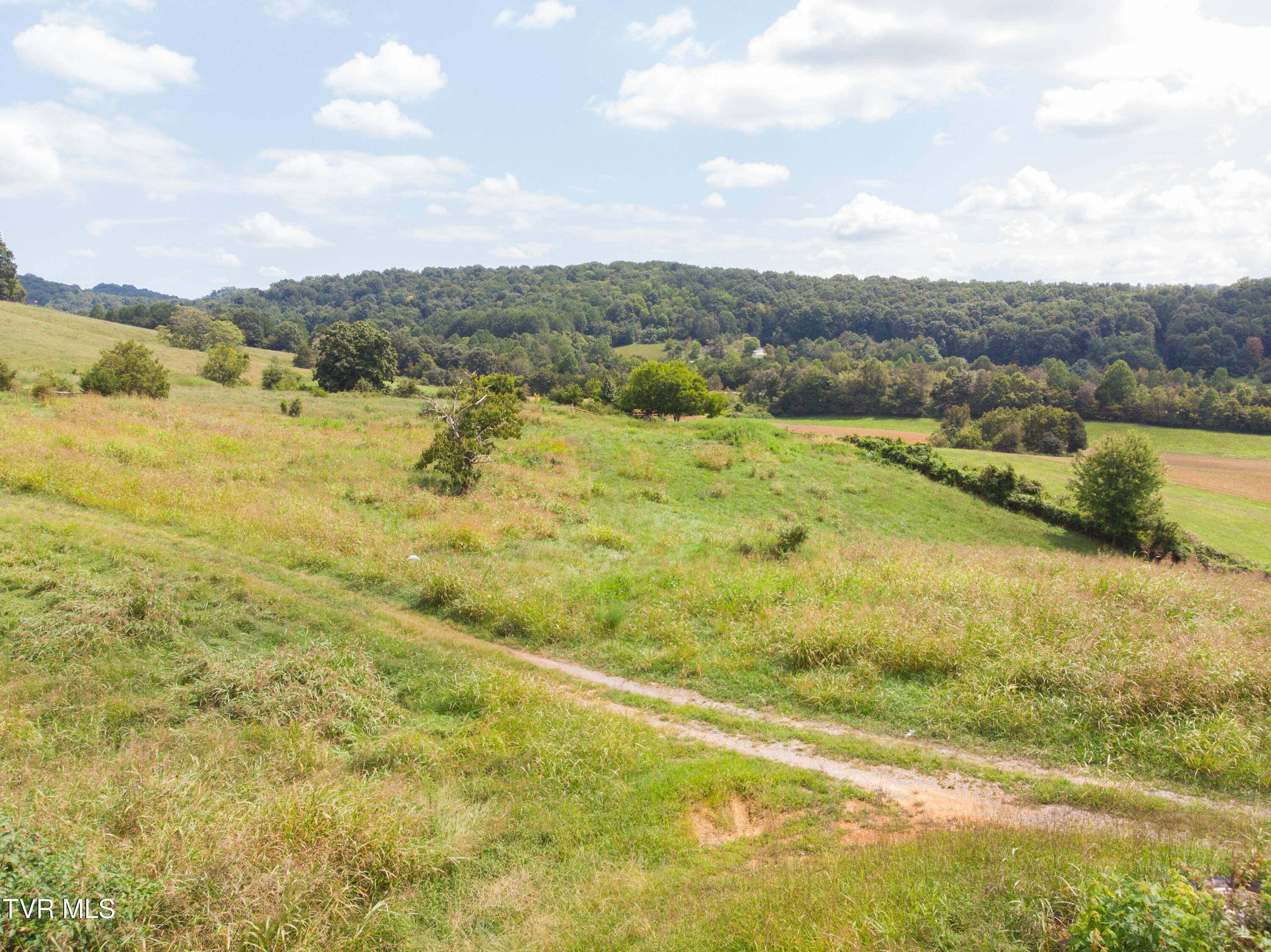 2710 Jearoldstown Road Chuckey, TN 37641 - Photo 42 of 48 DJI_0975