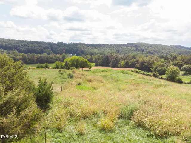 $650,000 | 2710 Jearoldstown Road, Chuckey, TN 37641