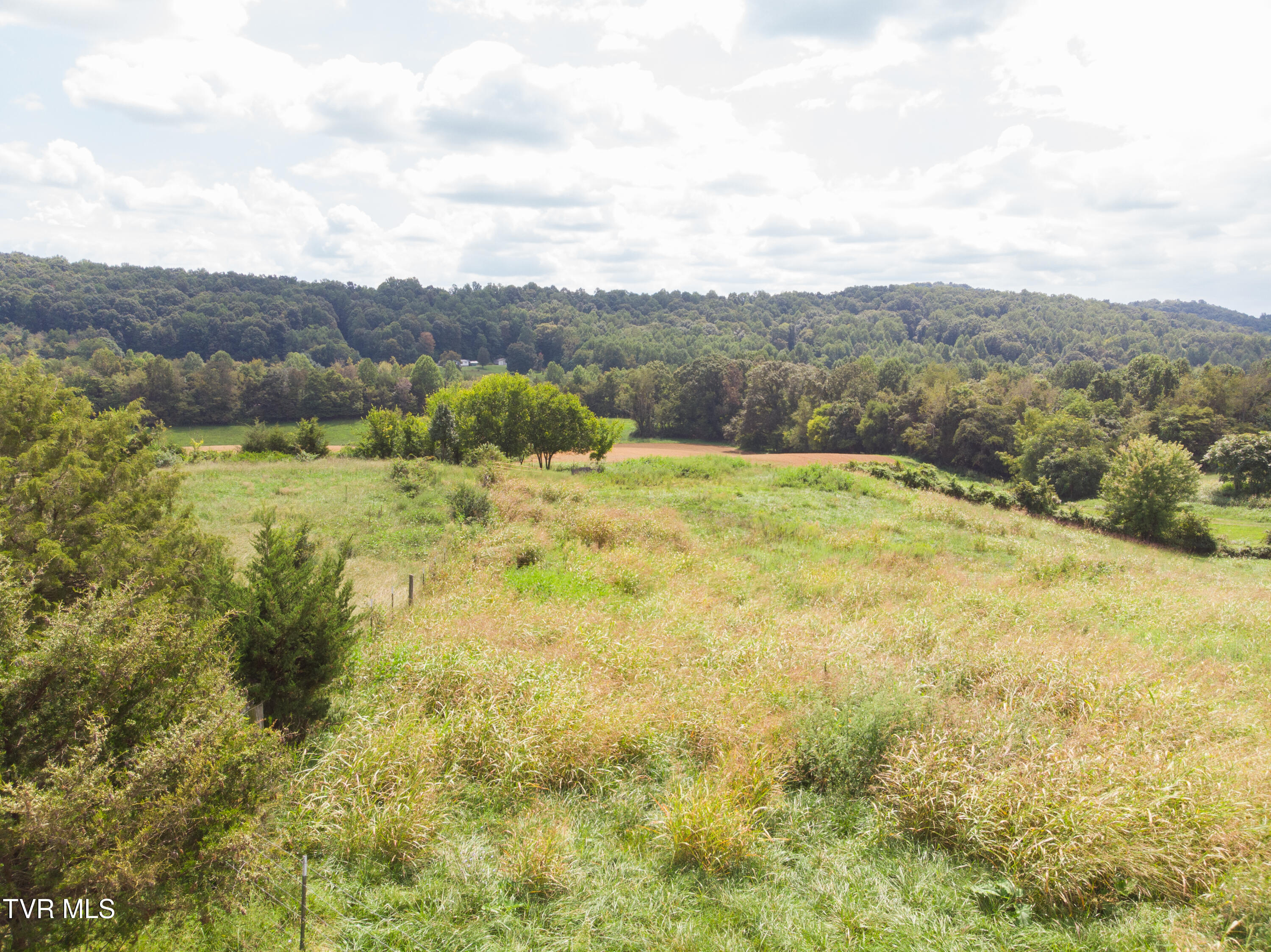 2710 Jearoldstown Road Chuckey, TN 37641 - Photo 43 of 48 DJI_0976