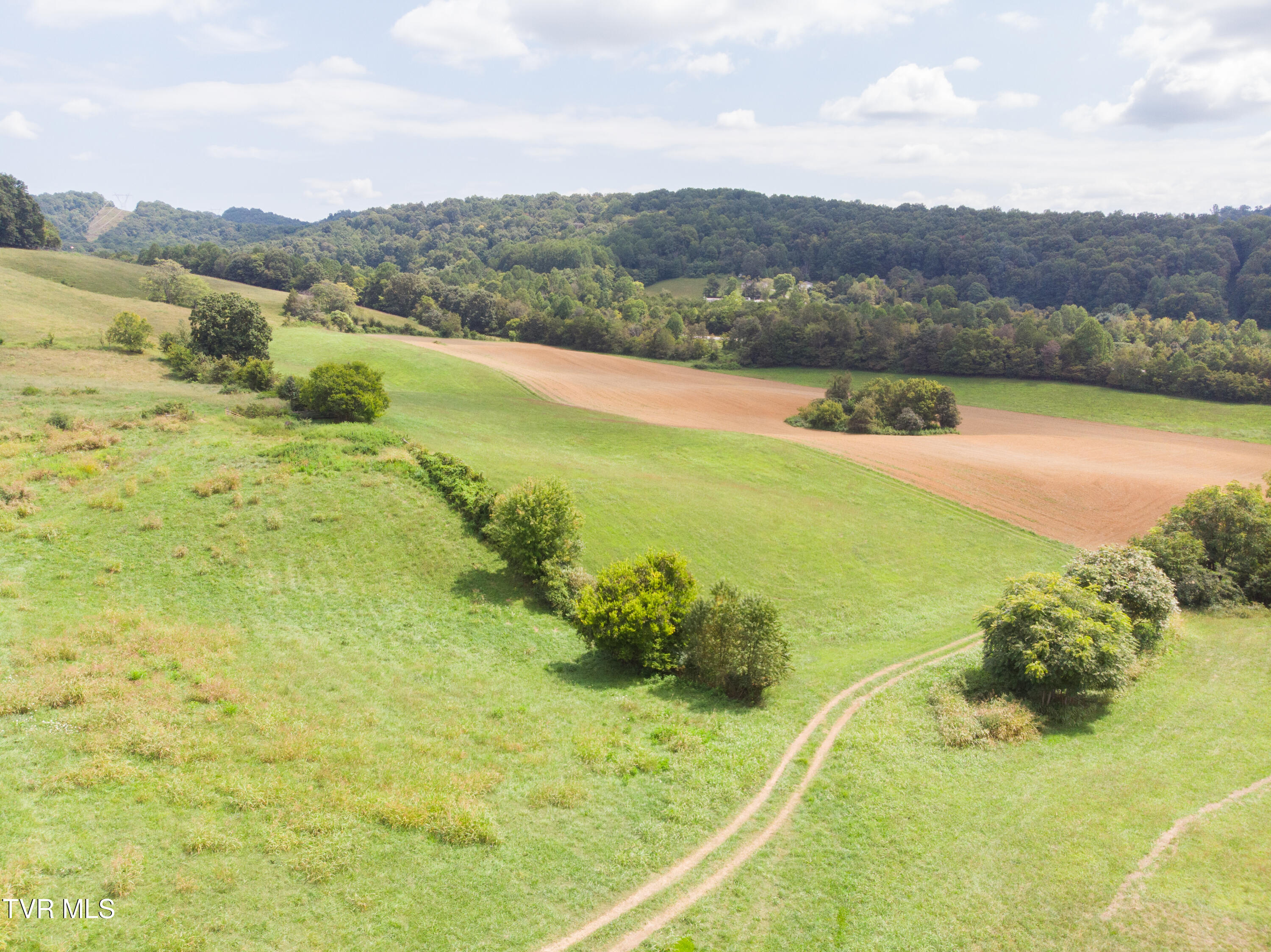 2710 Jearoldstown Road Chuckey, TN 37641 - Photo 6 of 48 DJI_0575