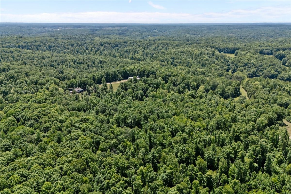 254 Shiloh Hollow Road Erin, TN 37061 - Photo 51 of 63