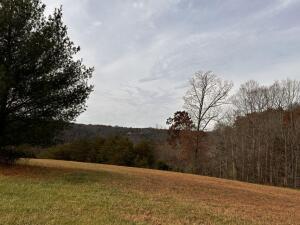 116 Parks Ridge Road Russell Springs, KY 42642 - Photo 7 of 25 20250804161932601383000000