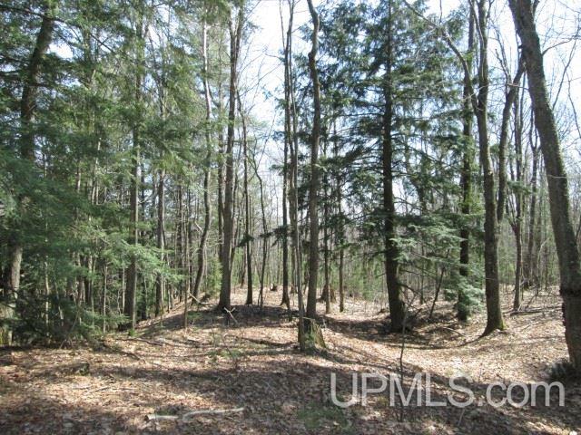 Tbd Golf Course Road Calumet, MI 49913 - Photo 21 of 21