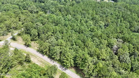 $123,648 | 0 Cressionnie Road, Carriere, MS 39426
