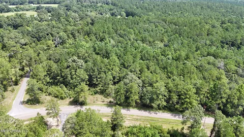 $123,648 | 0 Cressionnie Road, Carriere, MS 39426