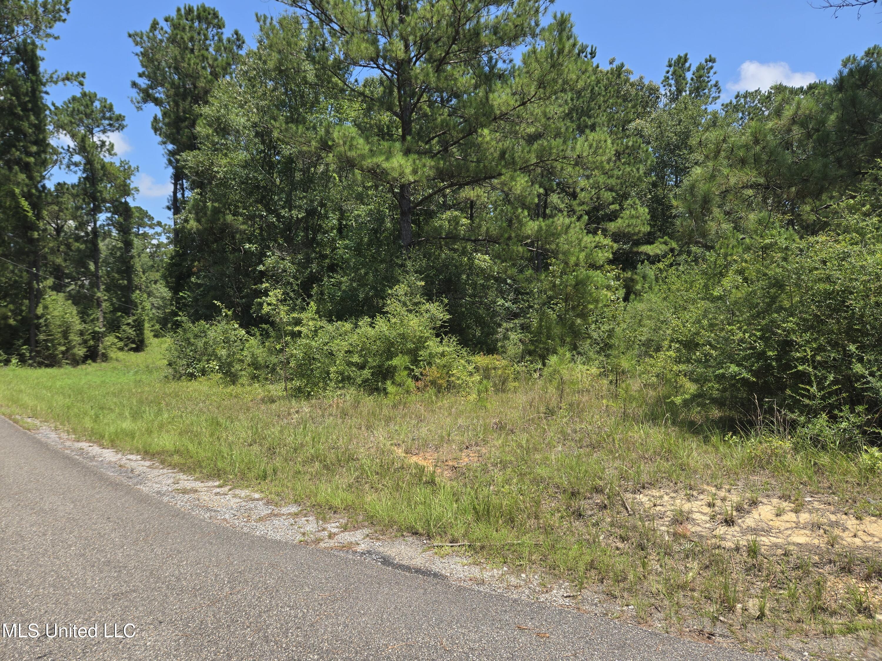 0 Cressionnie Road Carriere, MS 39426 - Photo 2 of 12 20250724_131144