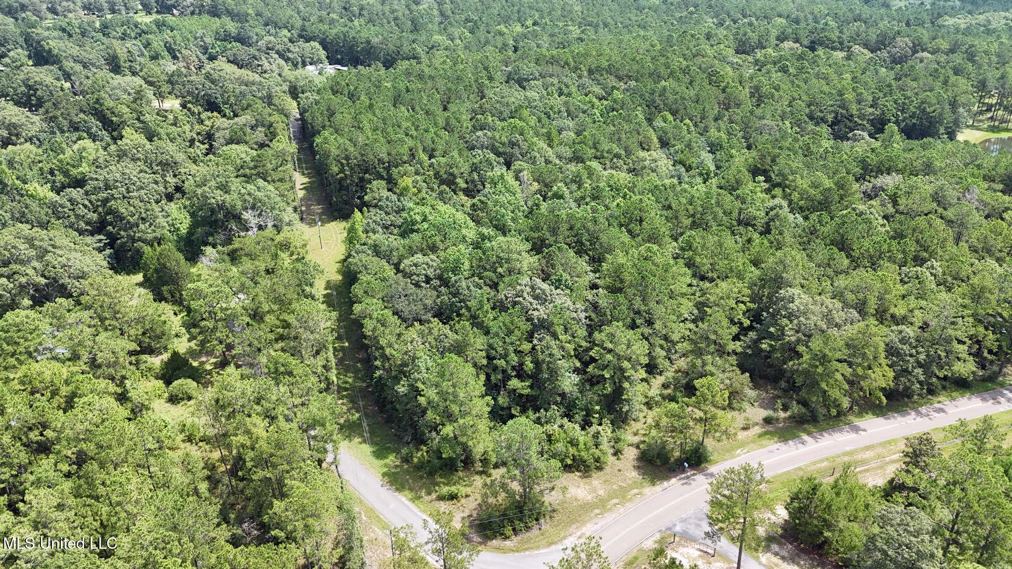 0 Cressionnie Road Carriere, MS 39426 - Photo 4 of 12 001