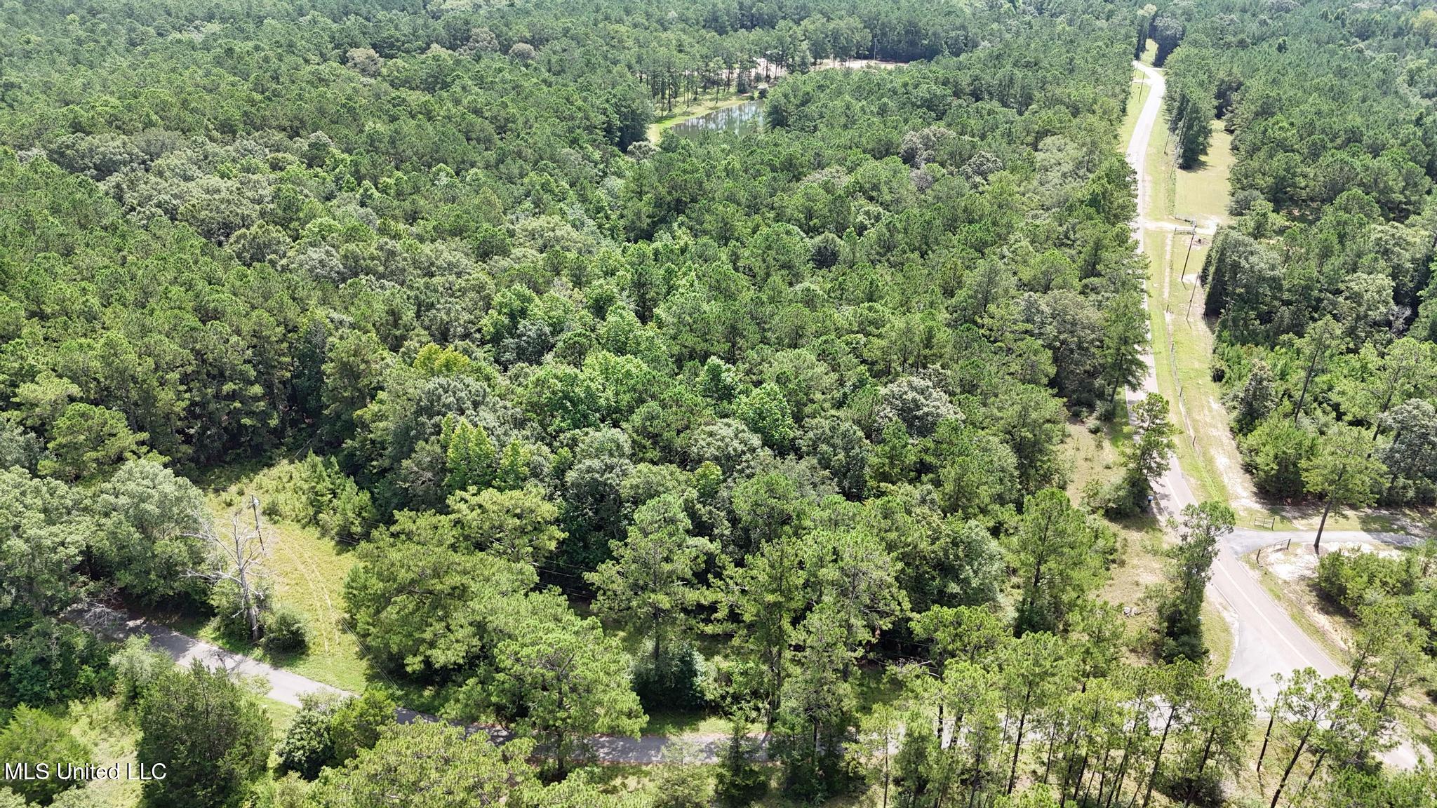 0 Cressionnie Road Carriere, MS 39426 - Photo 5 of 12 002