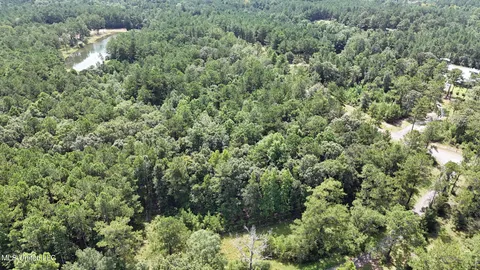 $123,648 | 0 Cressionnie Road, Carriere, MS 39426