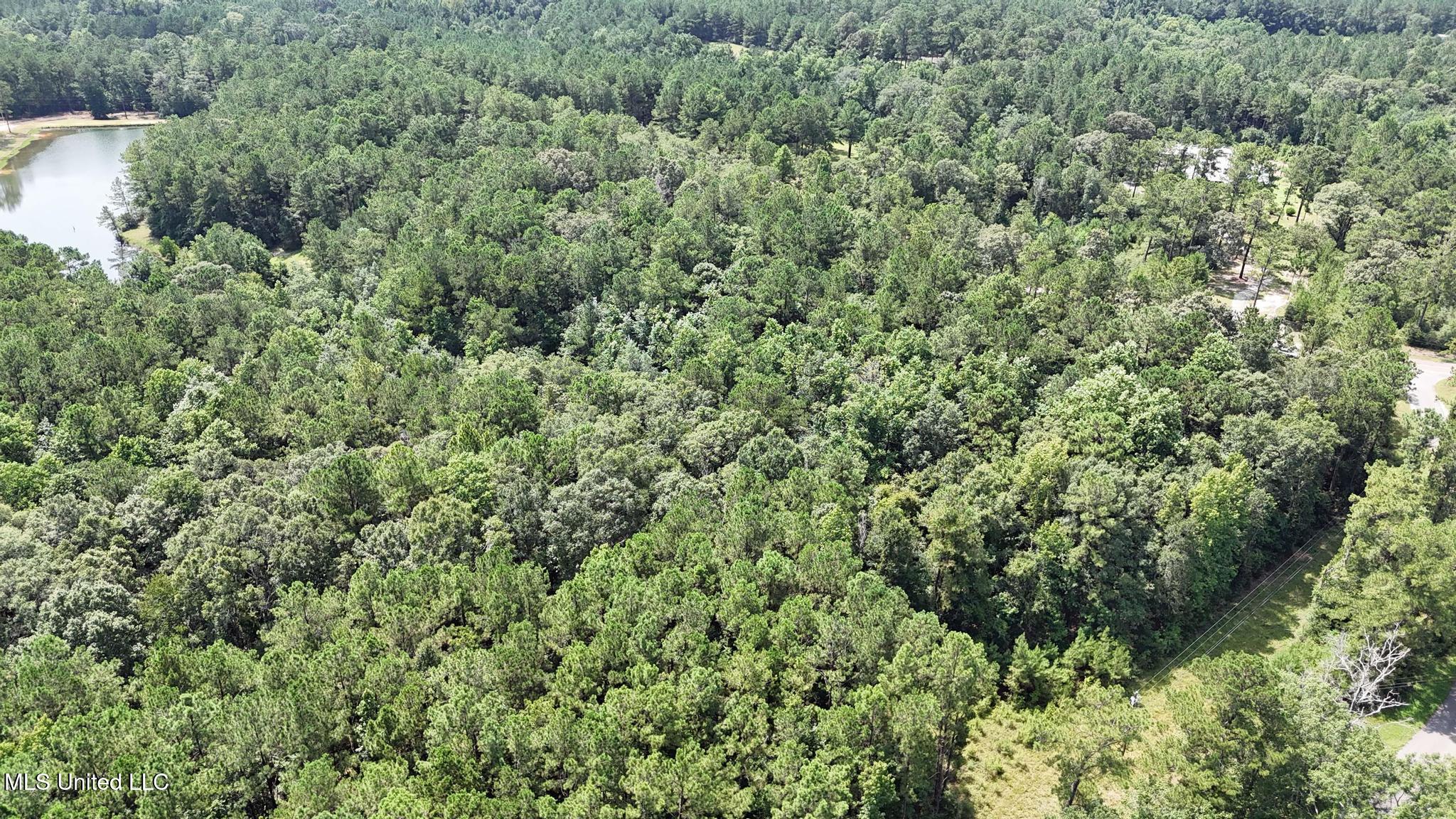 0 Cressionnie Road Carriere, MS 39426 - Photo 7 of 12 004
