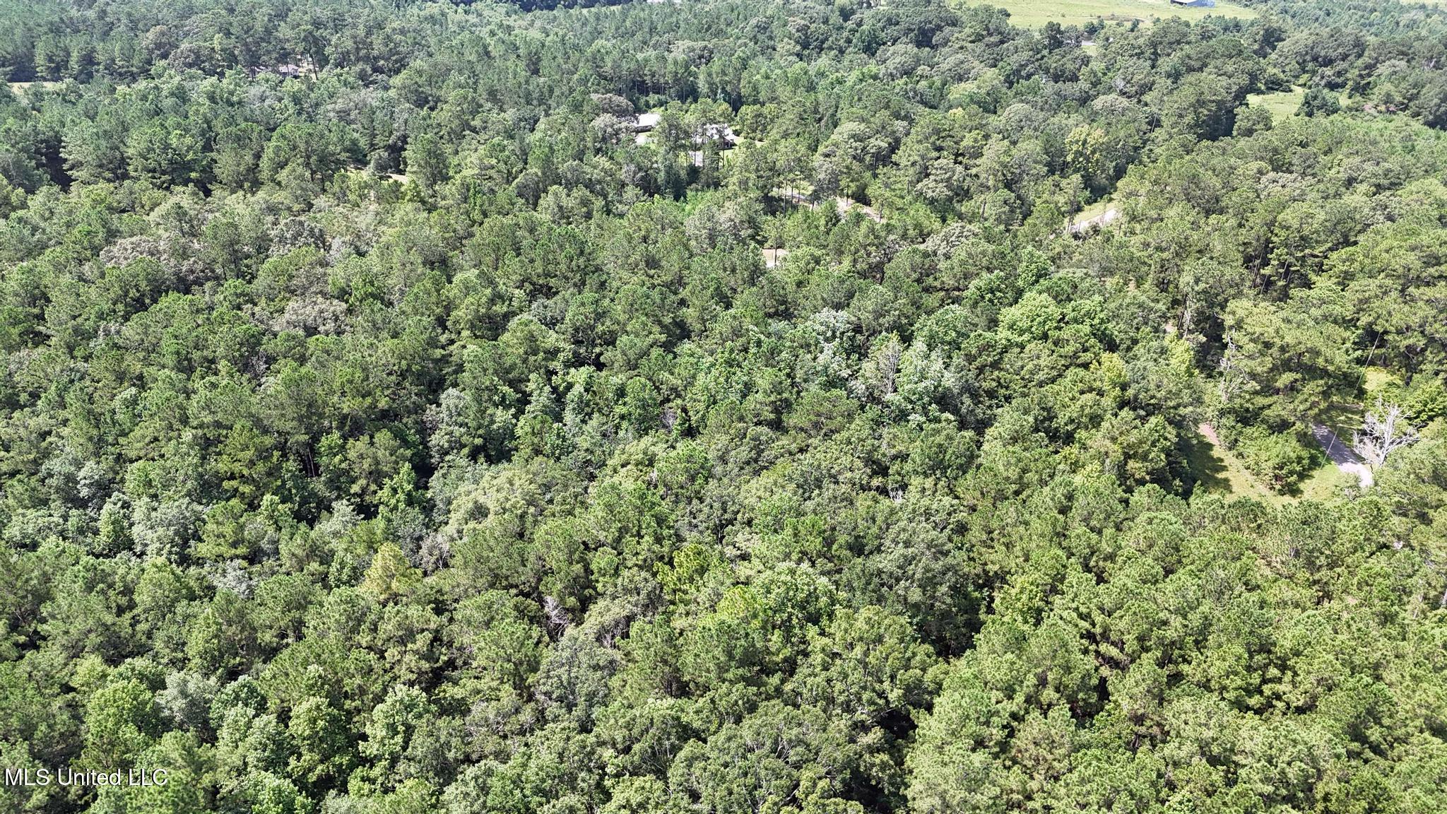 0 Cressionnie Road Carriere, MS 39426 - Photo 8 of 12 005