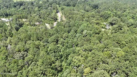 $123,648 | 0 Cressionnie Road, Carriere, MS 39426