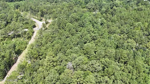 $123,648 | 0 Cressionnie Road, Carriere, MS 39426