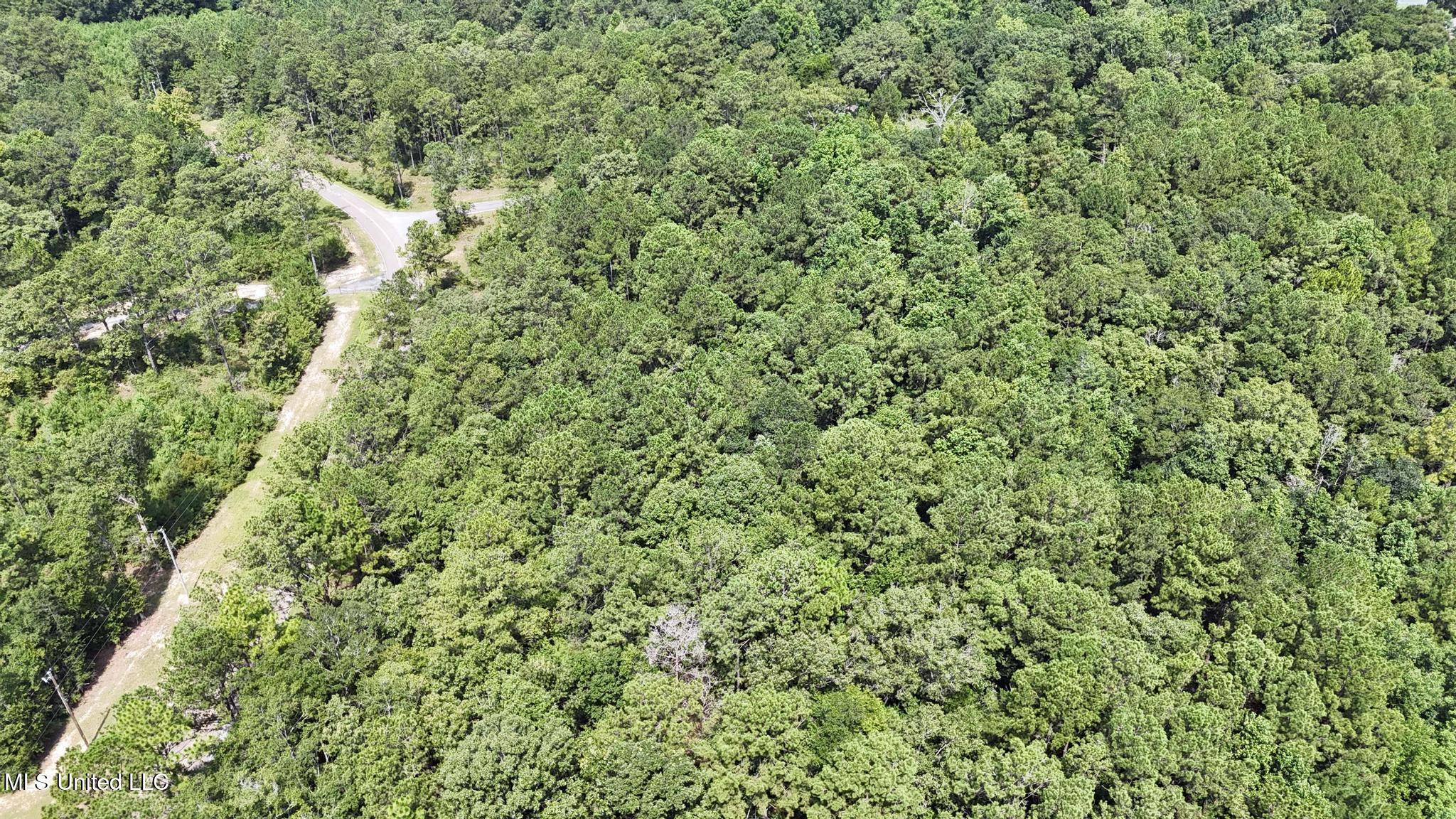 0 Cressionnie Road Carriere, MS 39426 - Photo 10 of 12 007