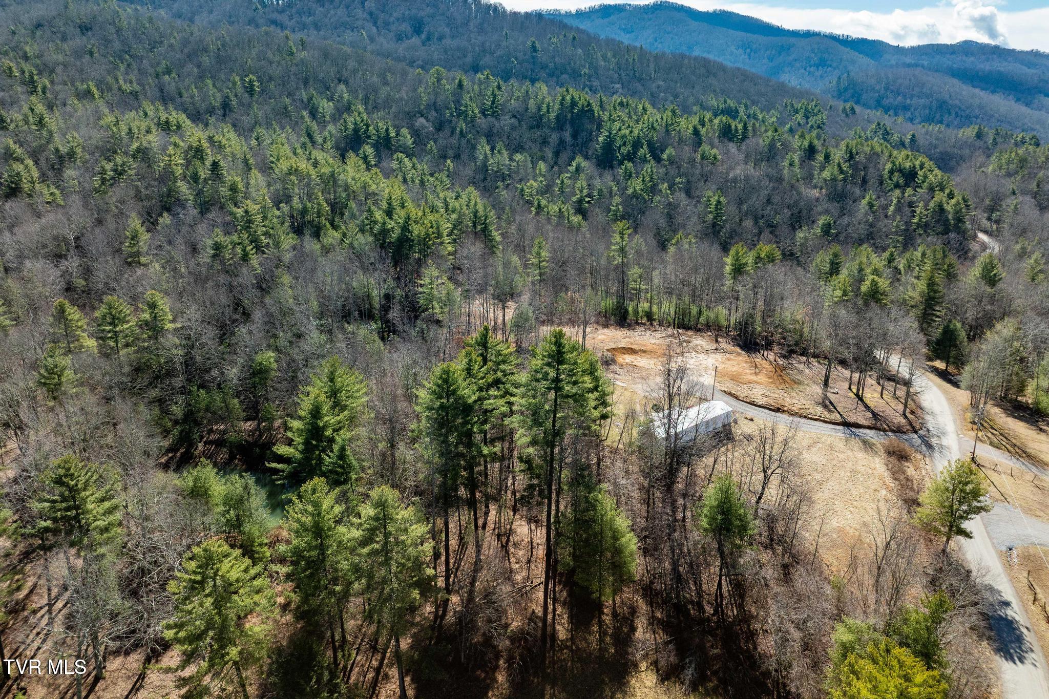 828 Red Brush Road Mountain City, TN 37683 - Photo 13 of 29 828 Red Brush Road (17 of 33)