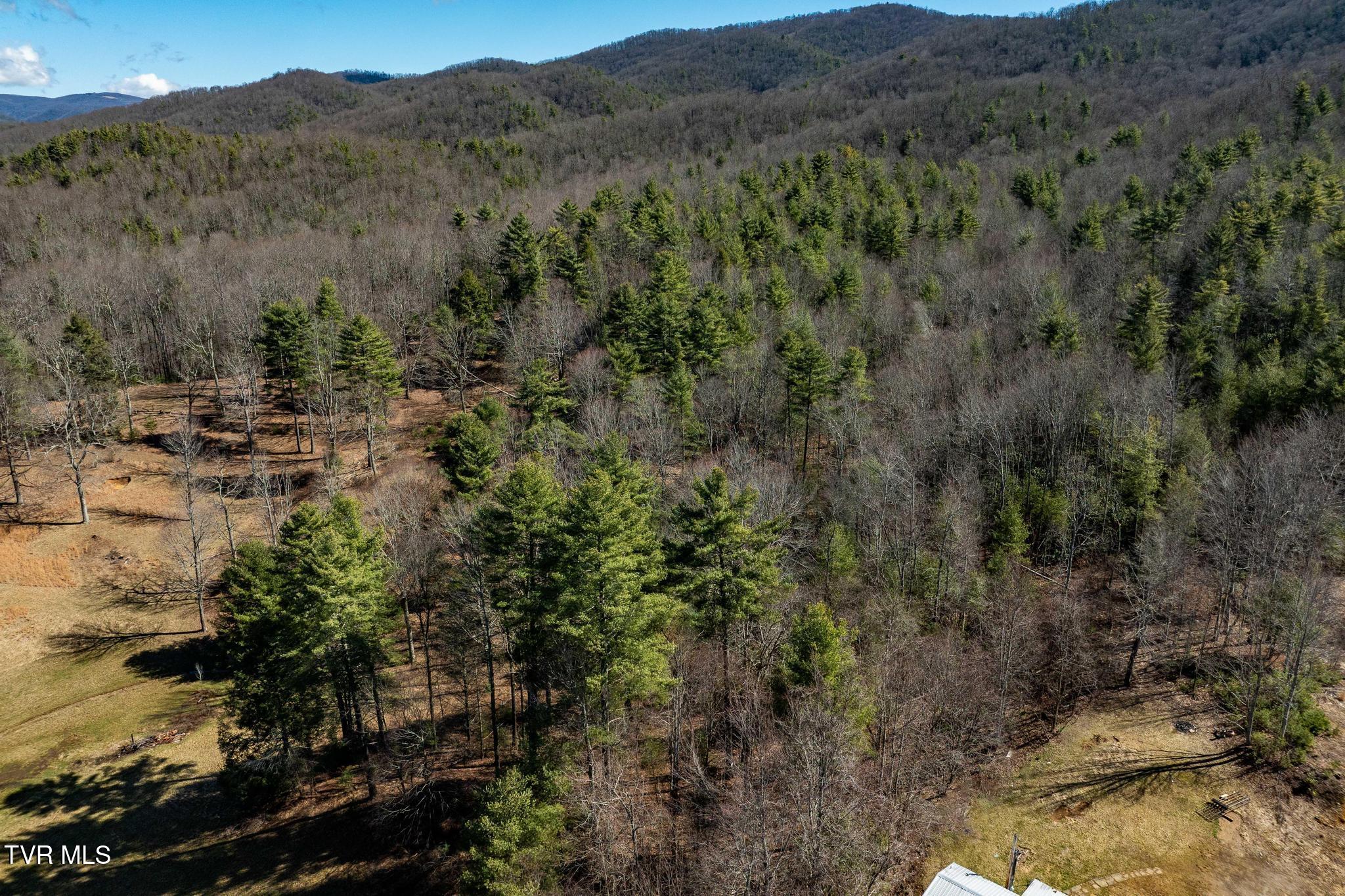 828 Red Brush Road Mountain City, TN 37683 - Photo 14 of 29 828 Red Brush Road (18 of 33)