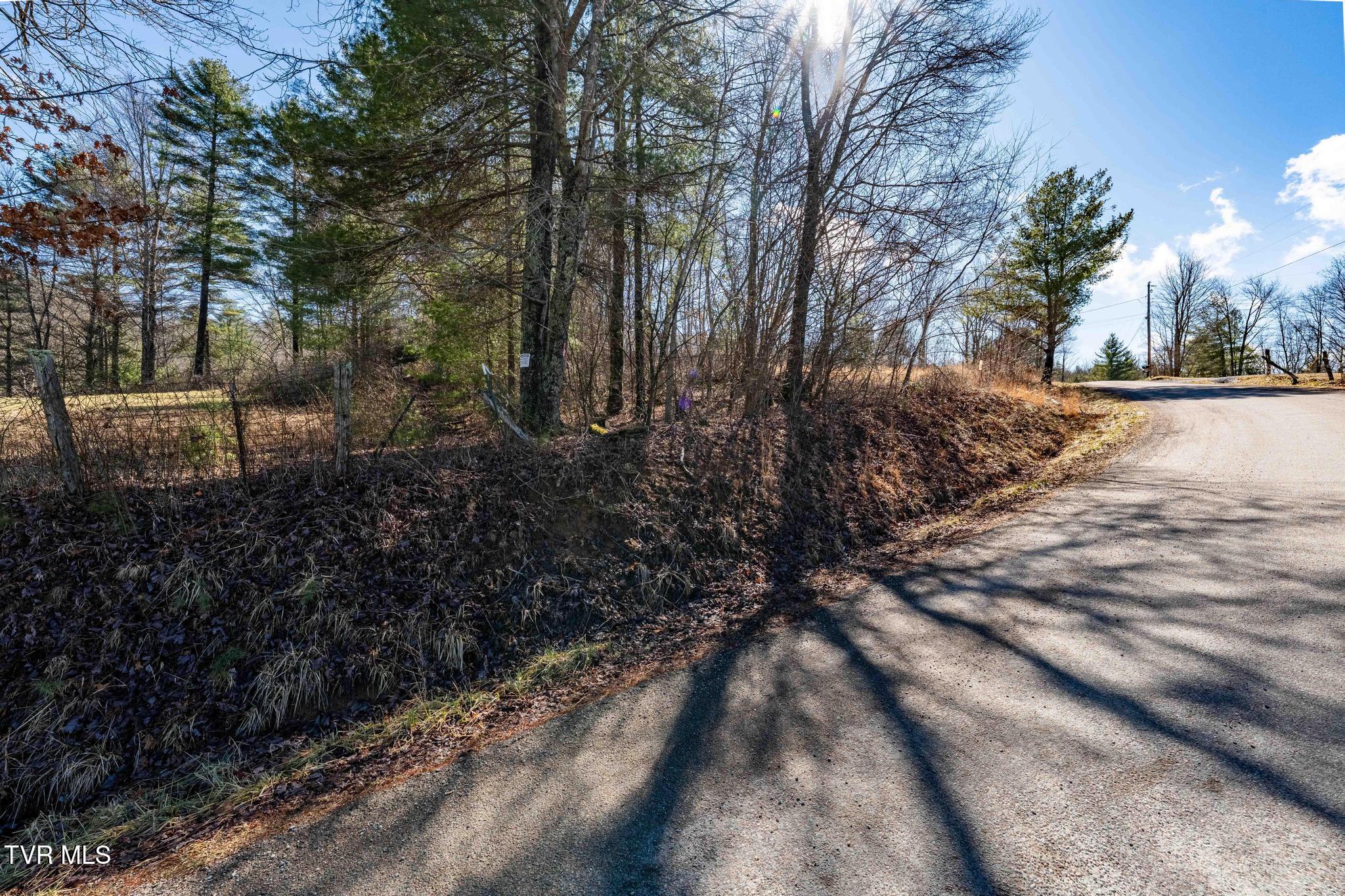 828 Red Brush Road Mountain City, TN 37683 - Photo 17 of 29 828 Red Brush Road (21 of 33)