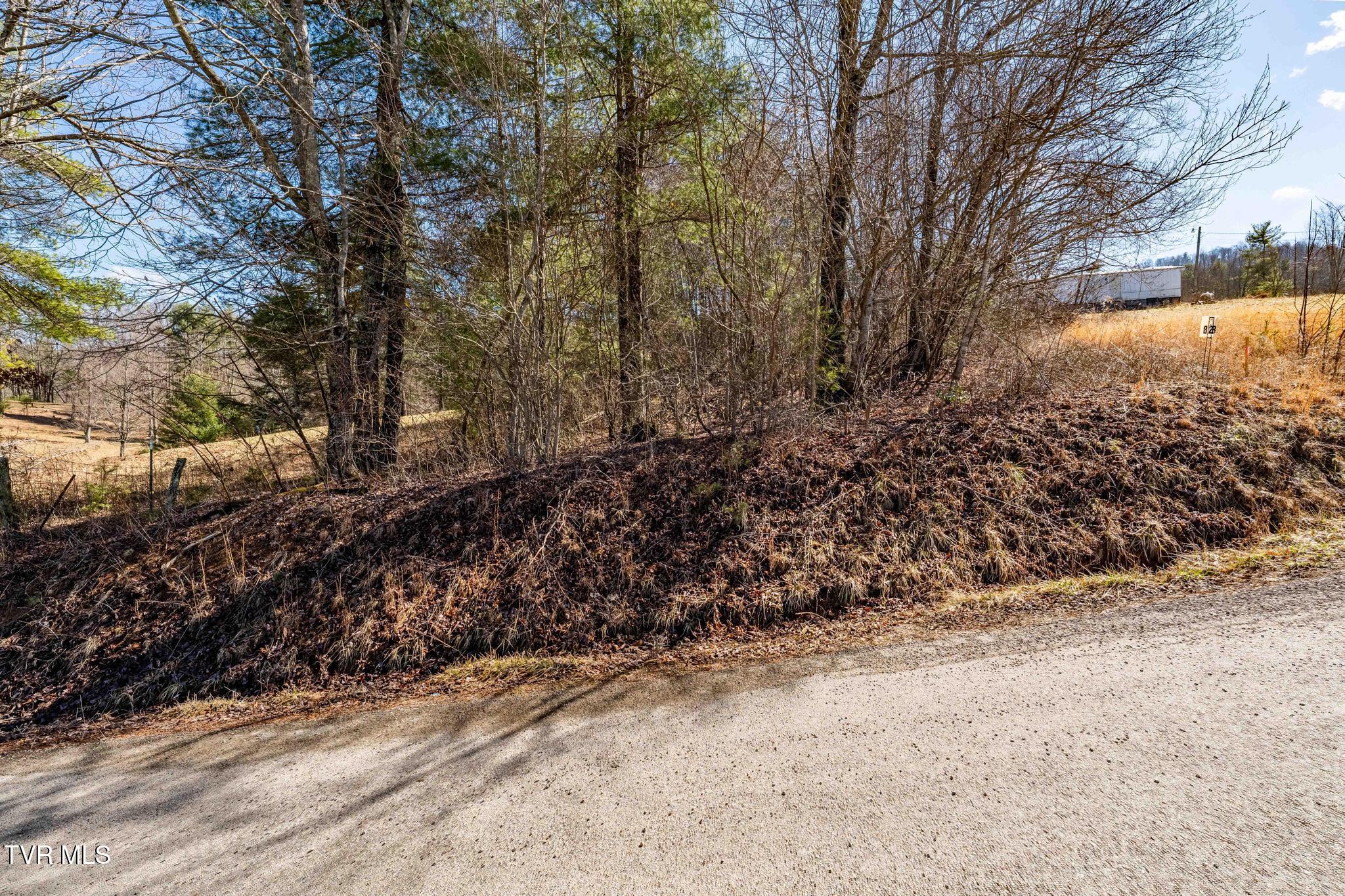 828 Red Brush Road Mountain City, TN 37683 - Photo 18 of 29 828 Red Brush Road (22 of 33)