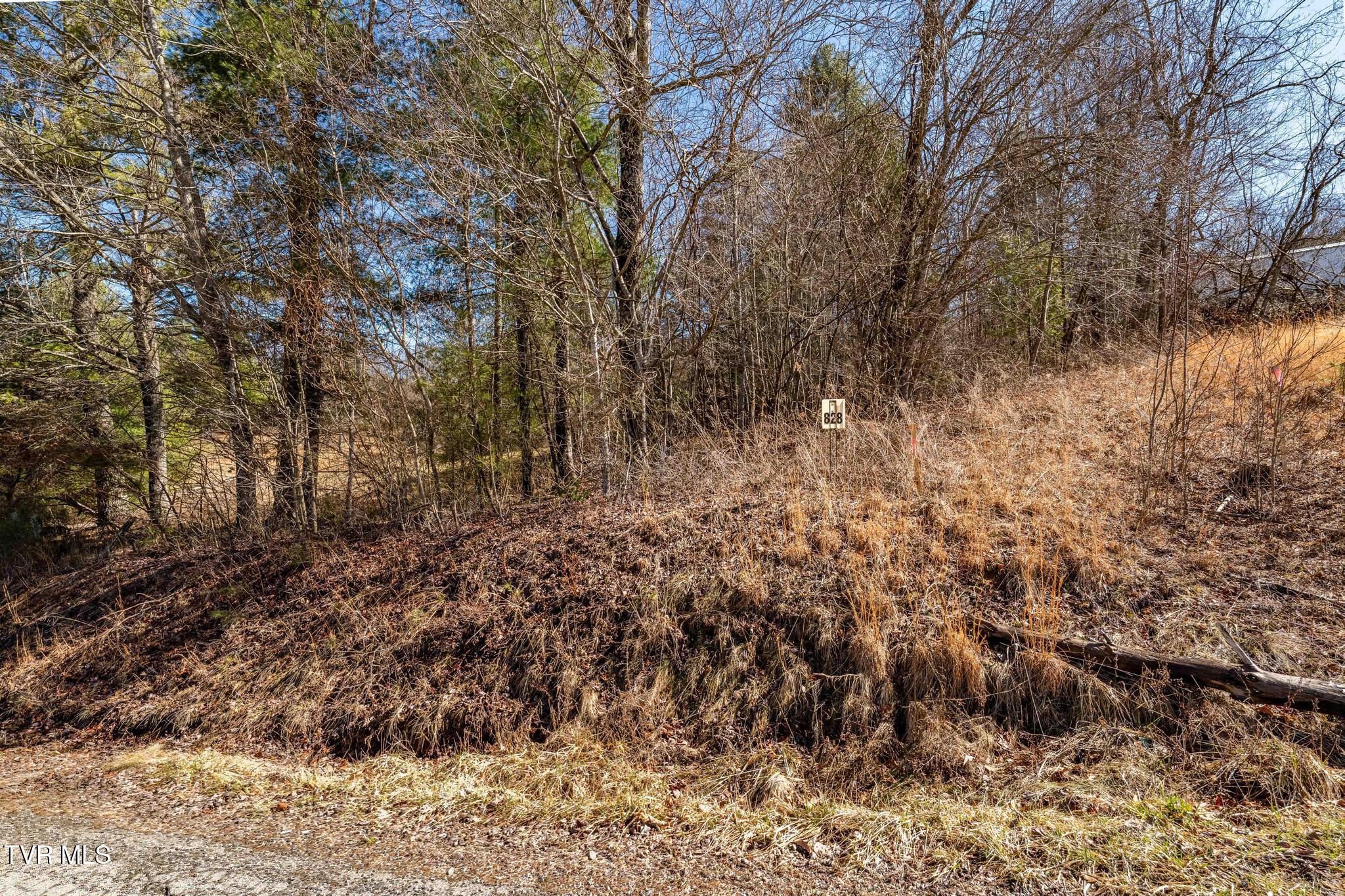 828 Red Brush Road Mountain City, TN 37683 - Photo 19 of 29 828 Red Brush Road (23 of 33)