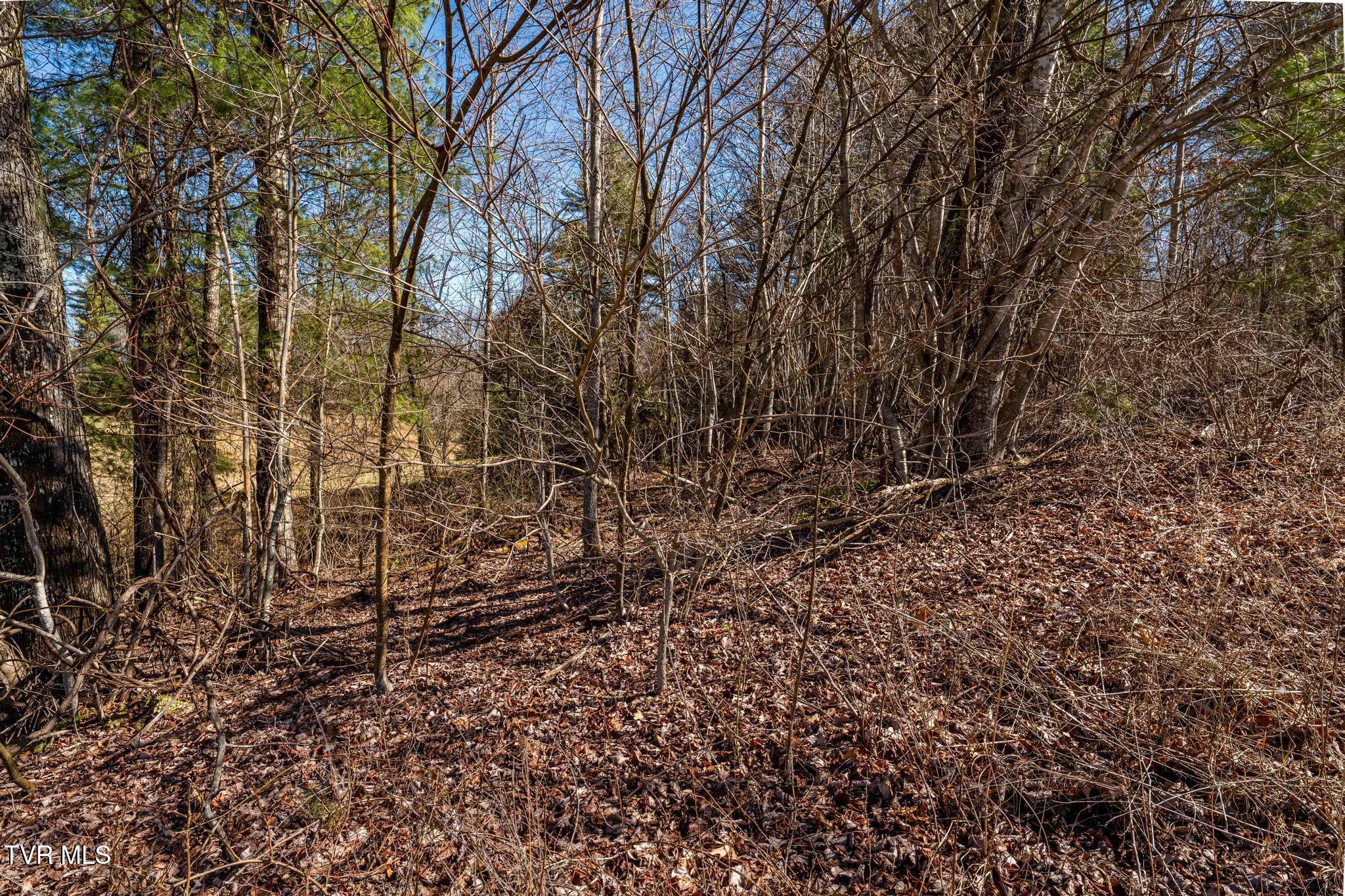 828 Red Brush Road Mountain City, TN 37683 - Photo 20 of 29 828 Red Brush Road (24 of 33)