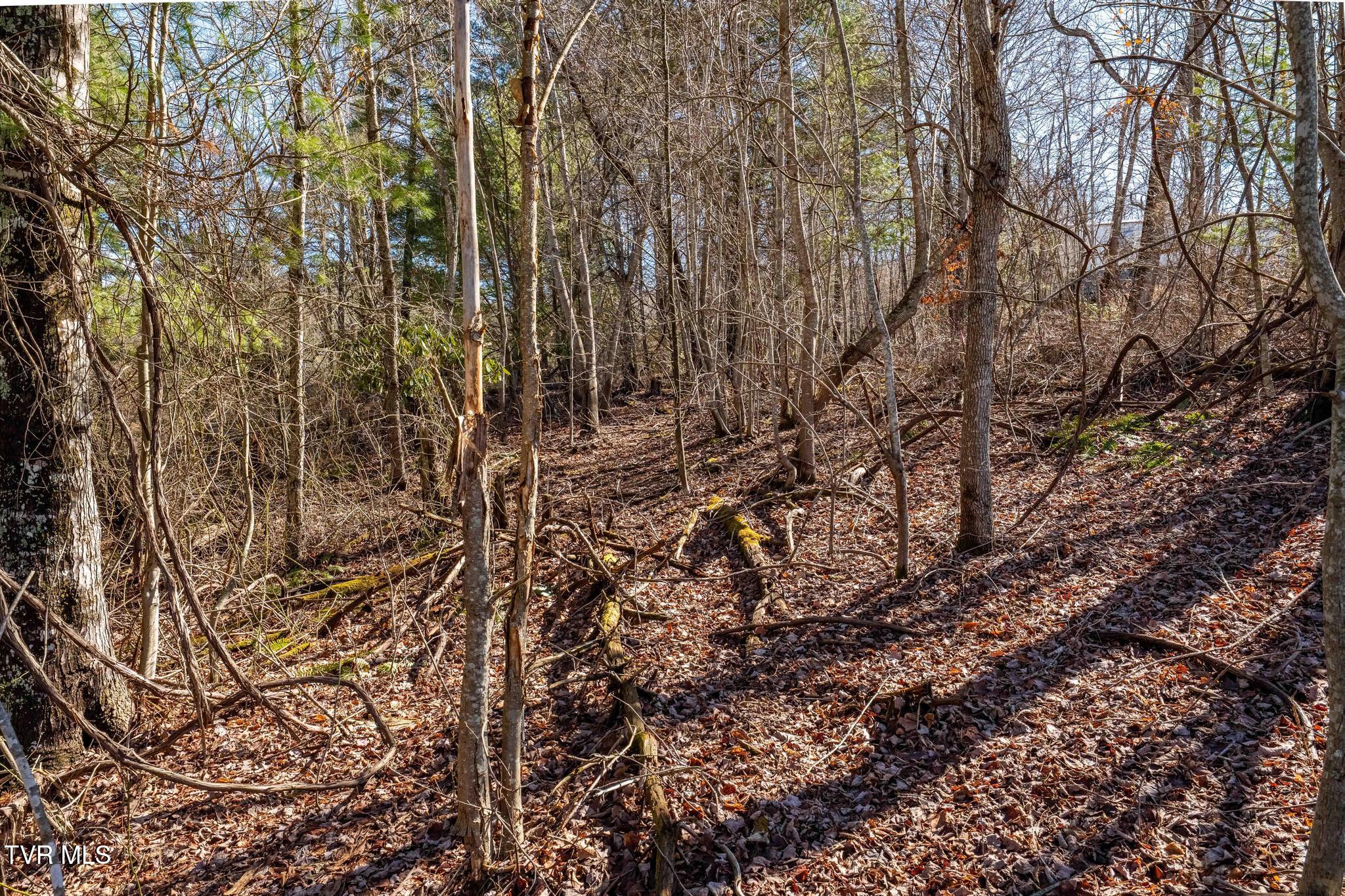 828 Red Brush Road Mountain City, TN 37683 - Photo 21 of 29 828 Red Brush Road (25 of 33)