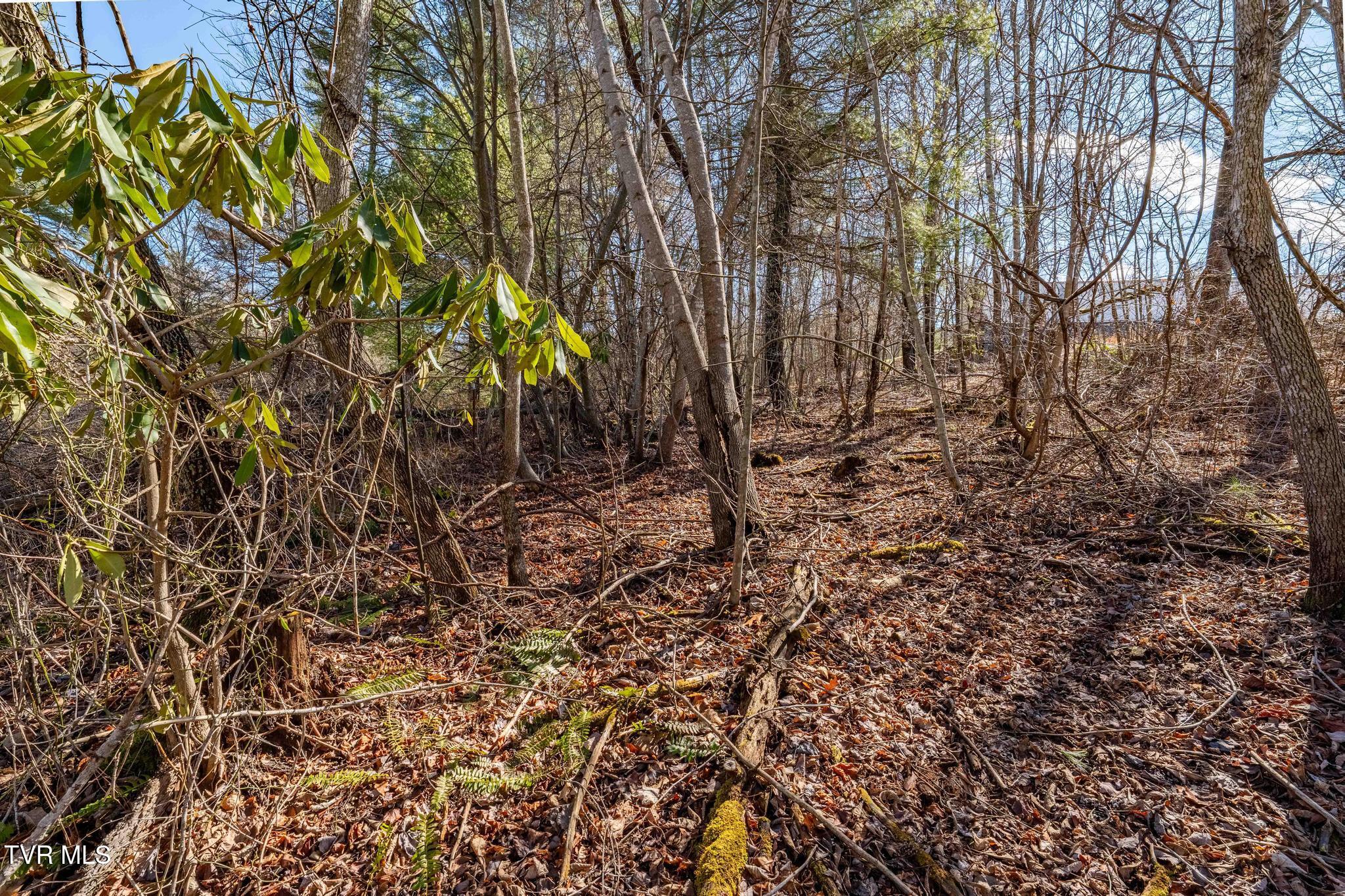 828 Red Brush Road Mountain City, TN 37683 - Photo 22 of 29 828 Red Brush Road (26 of 33)