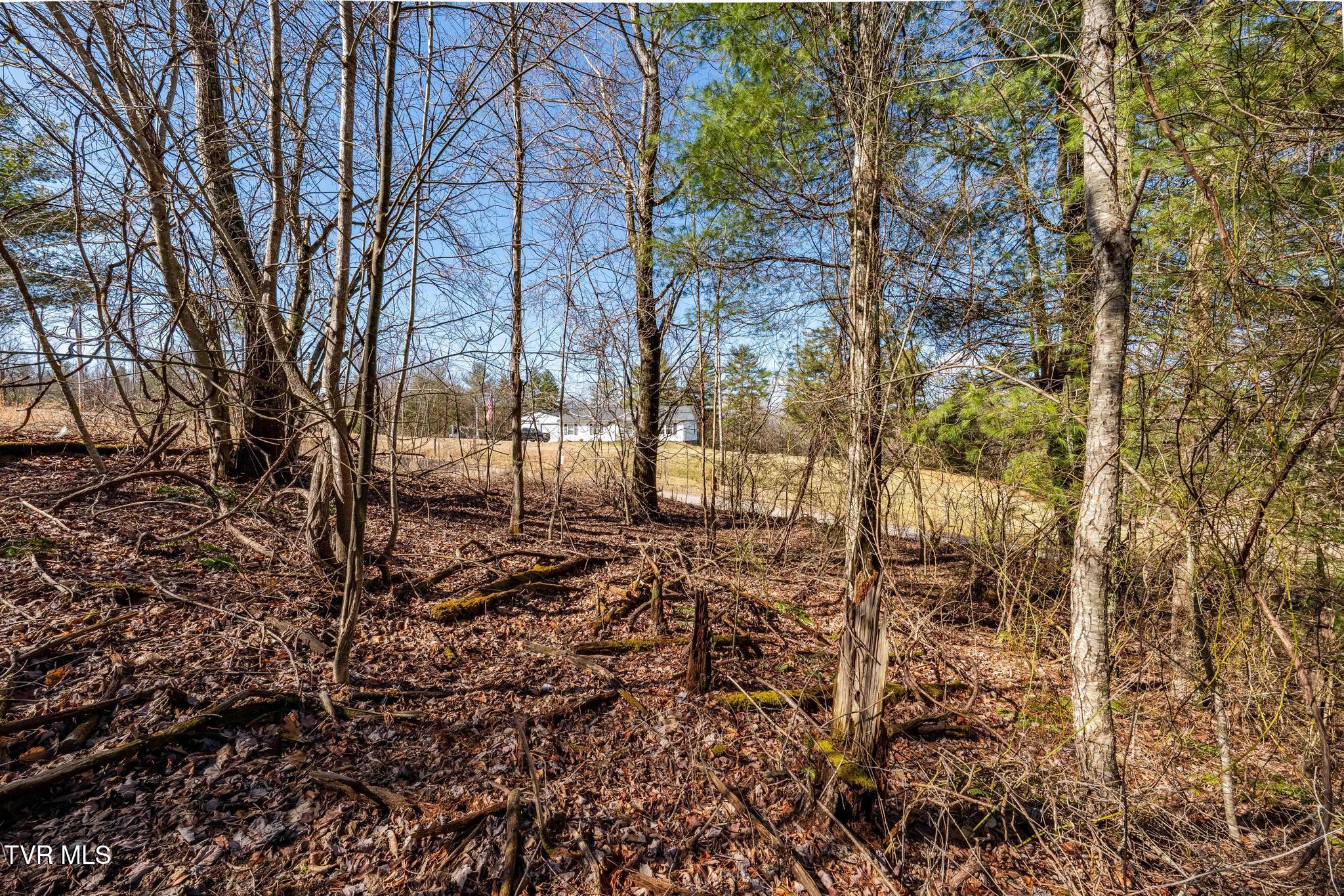 828 Red Brush Road Mountain City, TN 37683 - Photo 23 of 29 828 Red Brush Road (27 of 33)