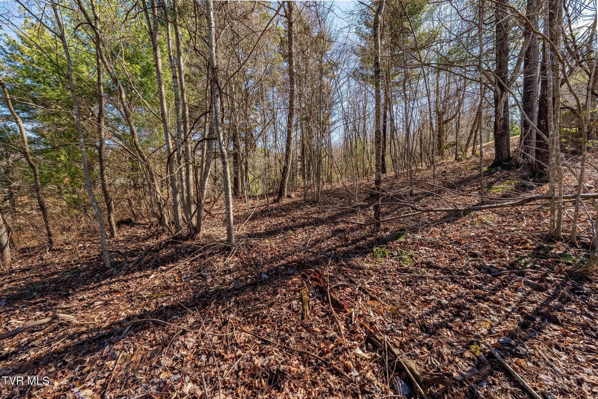 828 Red Brush Road Mountain City, TN 37683 - Photo 24 of 29 828 Red Brush Road (28 of 33)