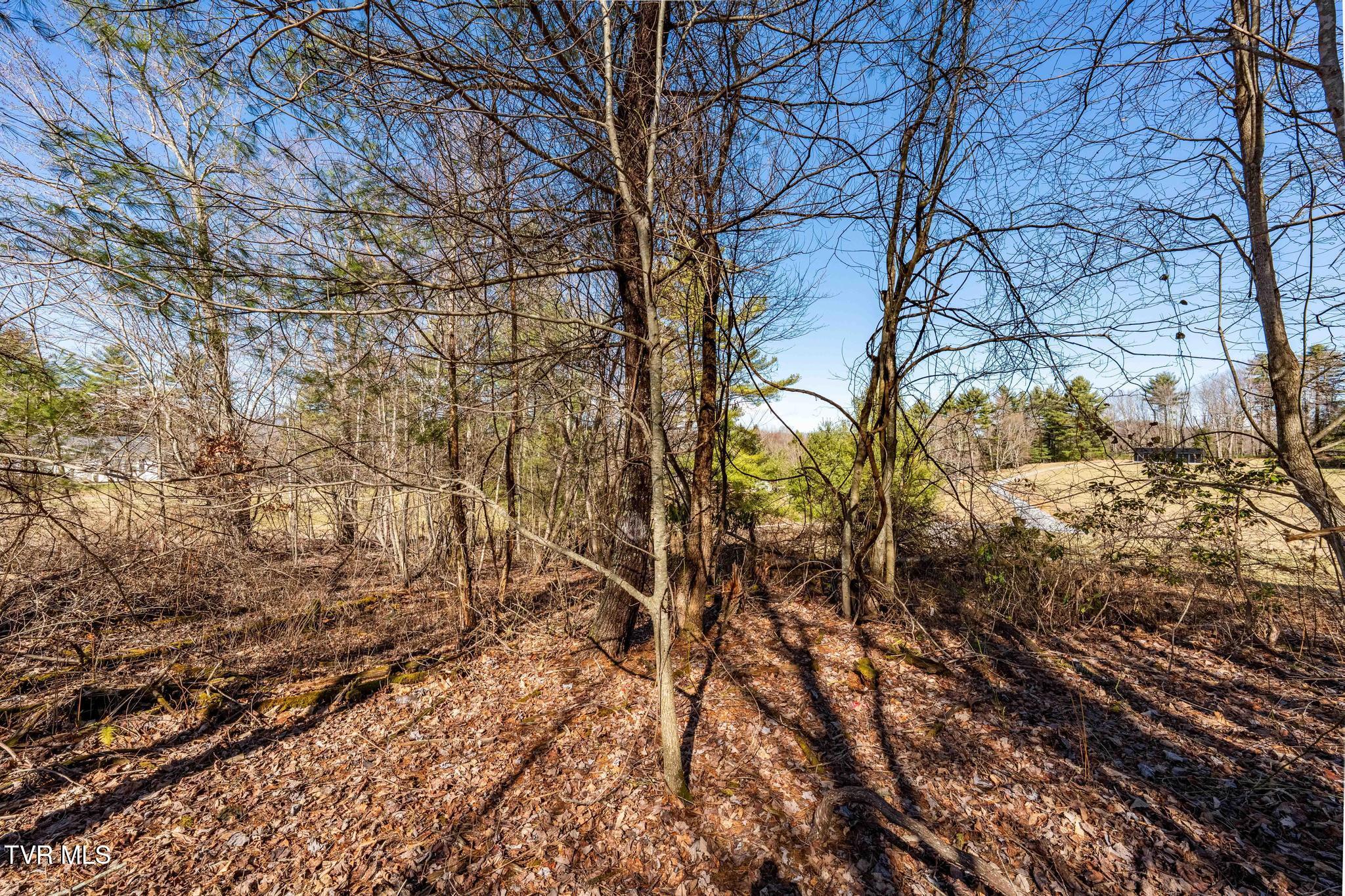 828 Red Brush Road Mountain City, TN 37683 - Photo 25 of 29 828 Red Brush Road (29 of 33)