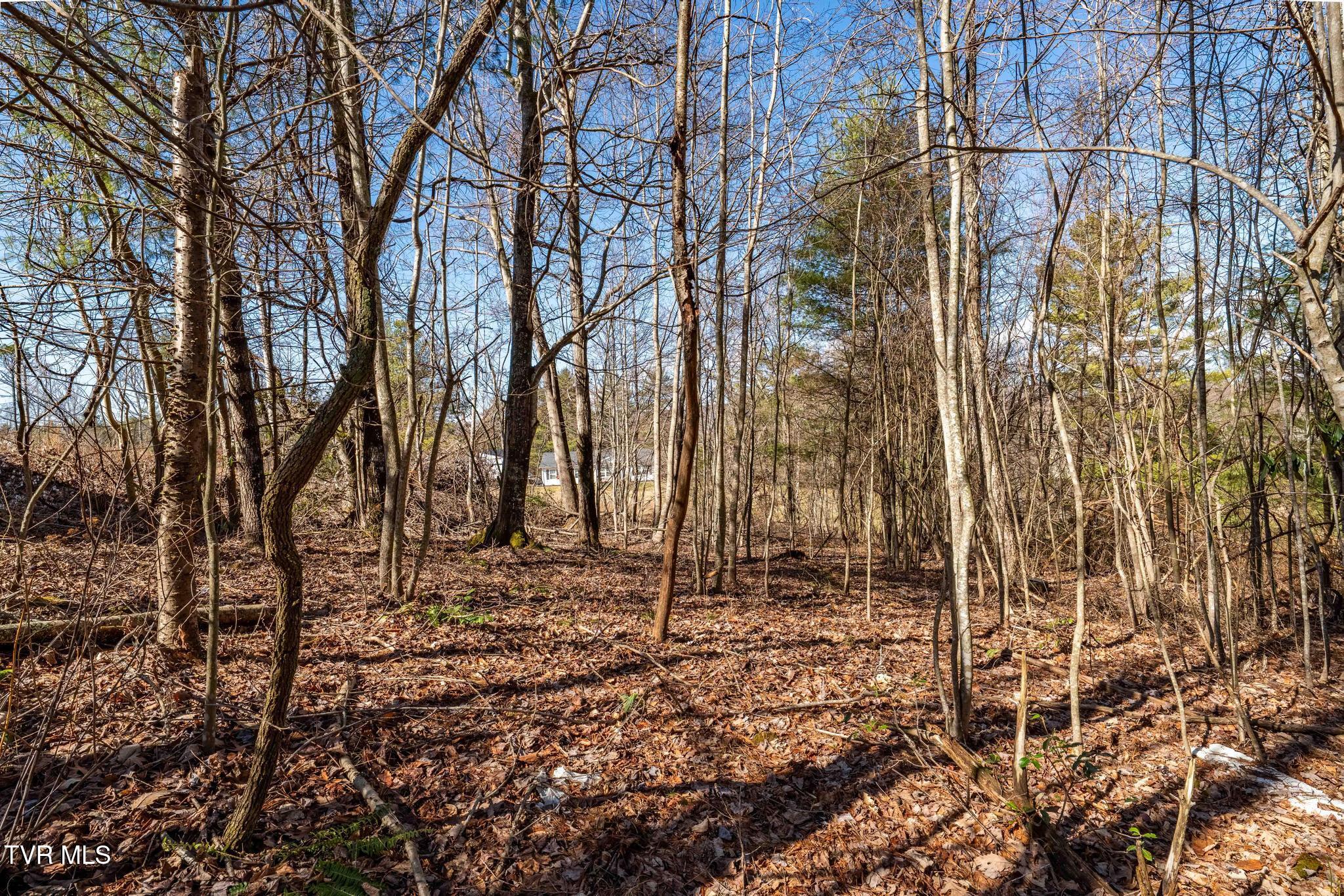 828 Red Brush Road Mountain City, TN 37683 - Photo 27 of 29 828 Red Brush Road (31 of 33)