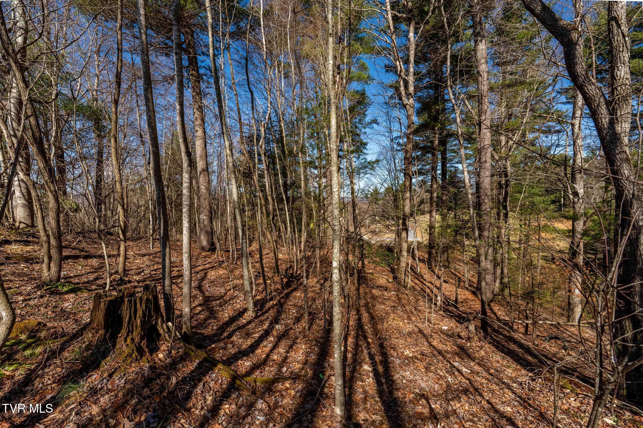828 Red Brush Road Mountain City, TN 37683 - Photo 29 of 29 828 Red Brush Road (33 of 33)