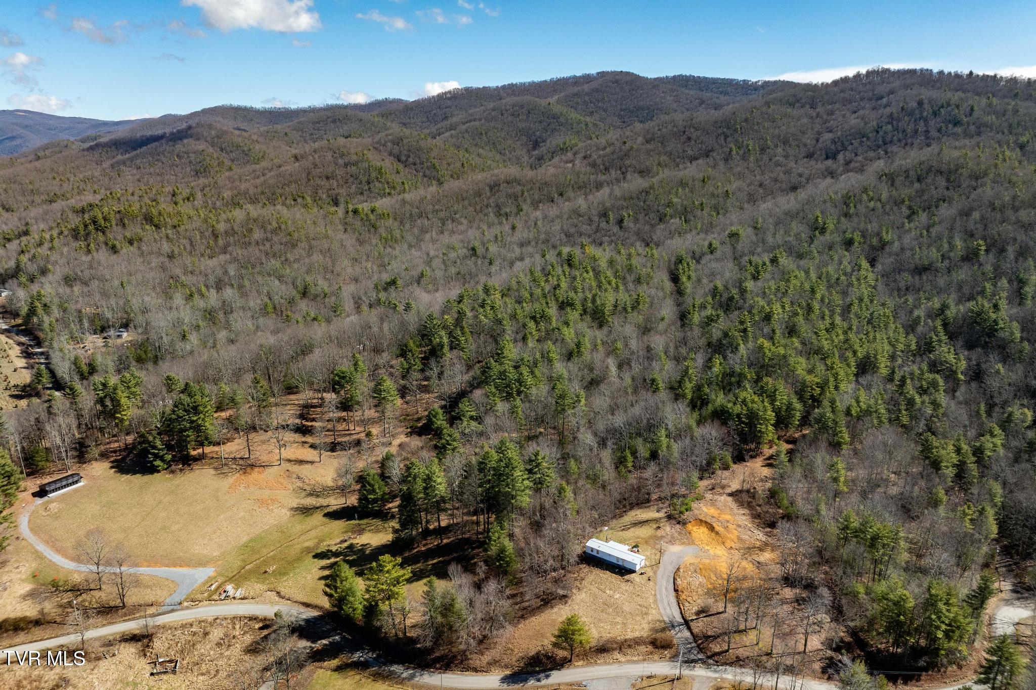 828 Red Brush Road Mountain City, TN 37683 - Photo 4 of 29 828 Red Brush Road (7 of 33)