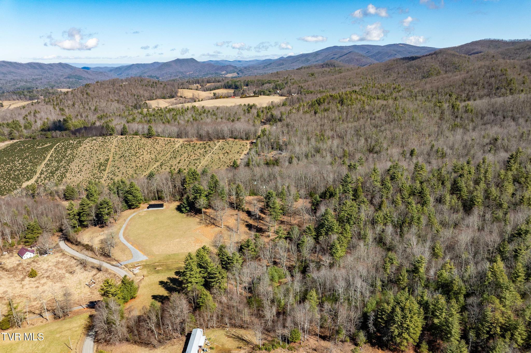828 Red Brush Road Mountain City, TN 37683 - Photo 5 of 29 828 Red Brush Road (8 of 33)