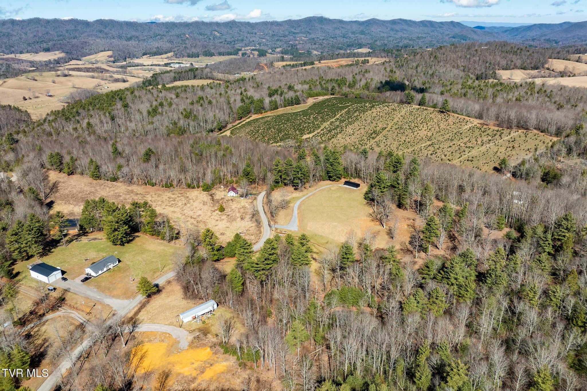 828 Red Brush Road Mountain City, TN 37683 - Photo 6 of 29 828 Red Brush Road (9 of 33)