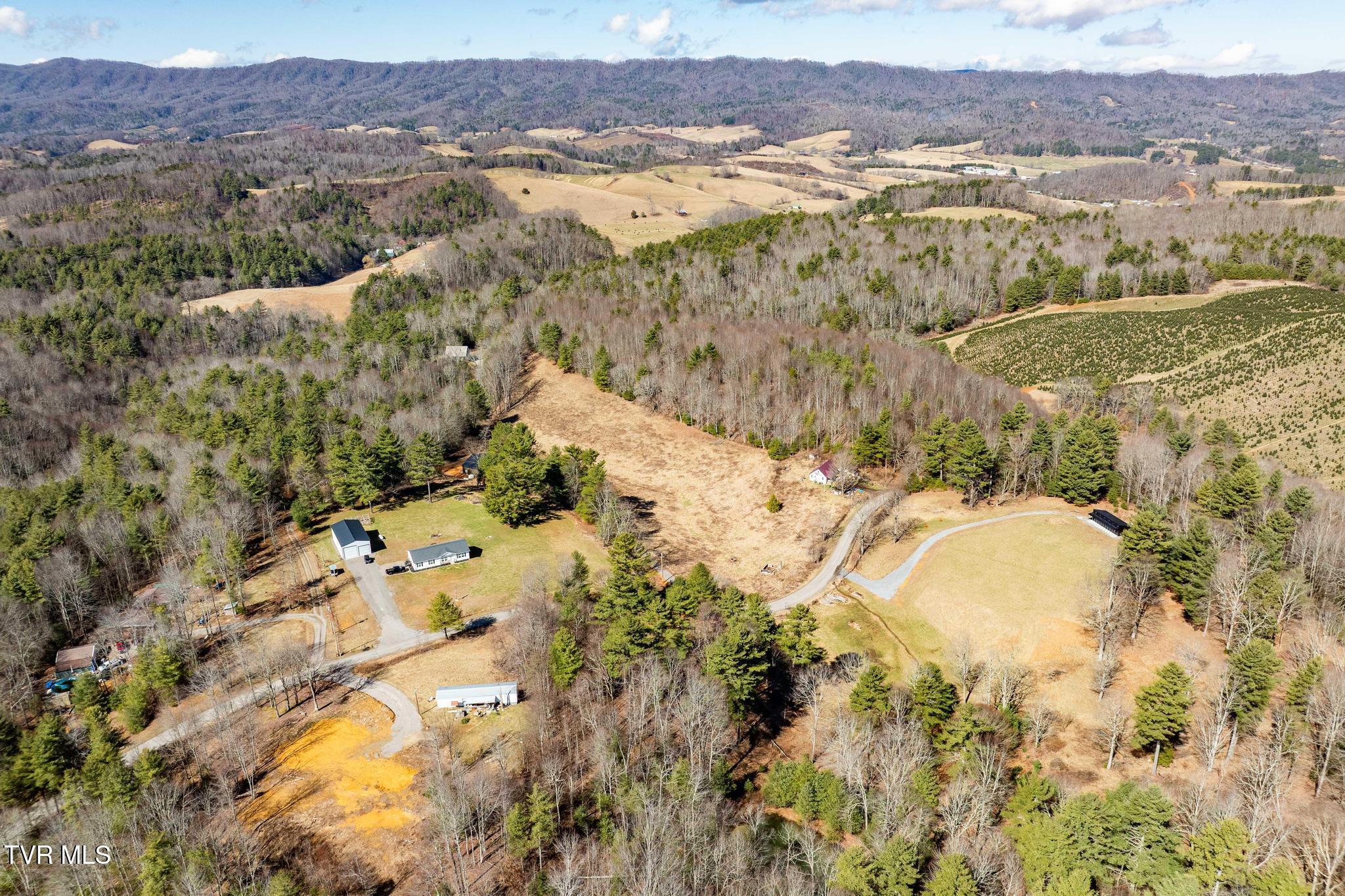 828 Red Brush Road Mountain City, TN 37683 - Photo 7 of 29 828 Red Brush Road (10 of 33)