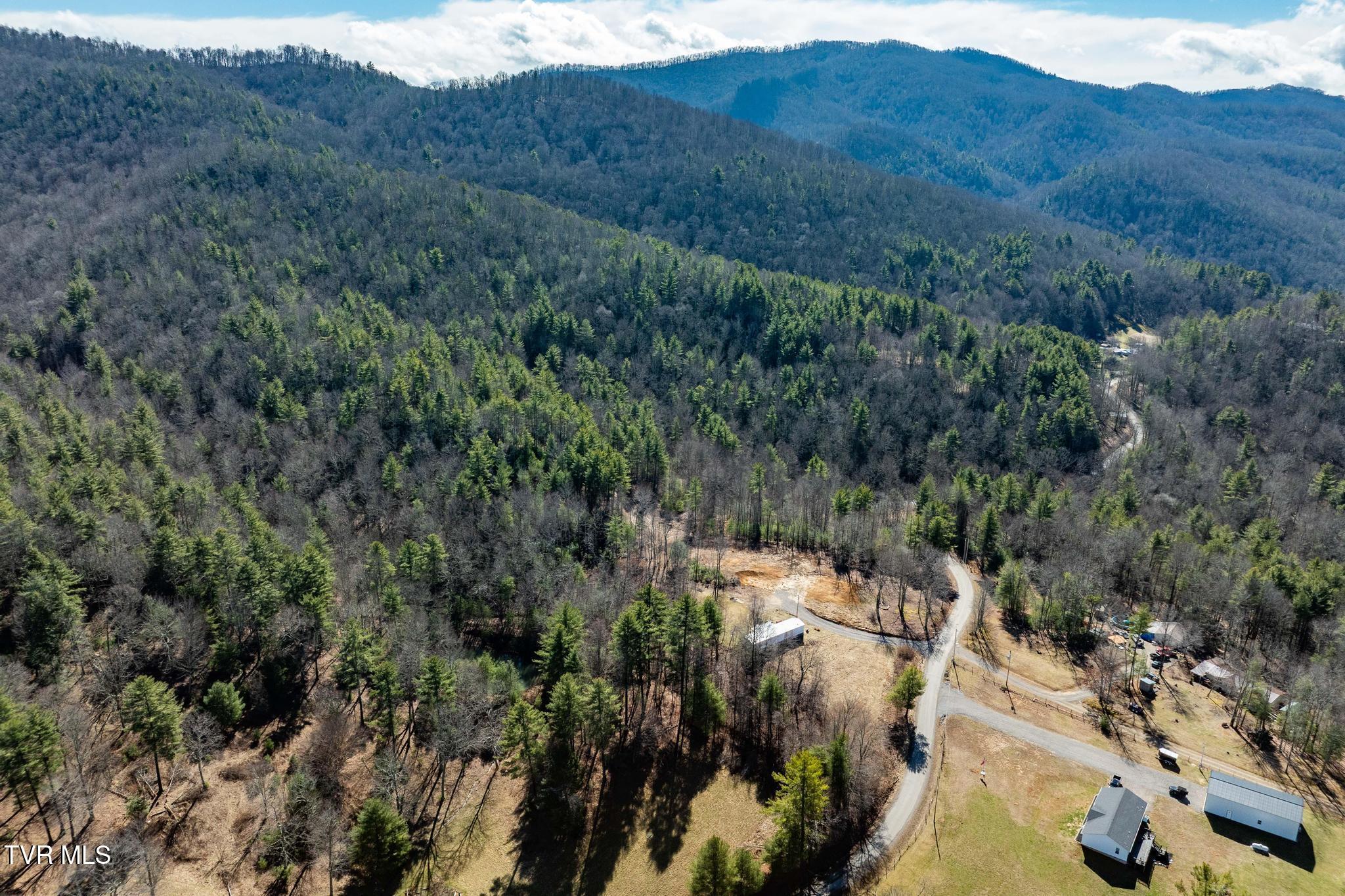 828 Red Brush Road Mountain City, TN 37683 - Photo 10 of 29 828 Red Brush Road (13 of 33)