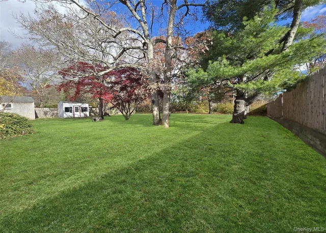 a view of a park with large trees