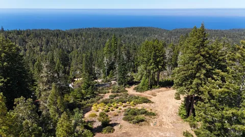 a view of a building in the middle of a forest