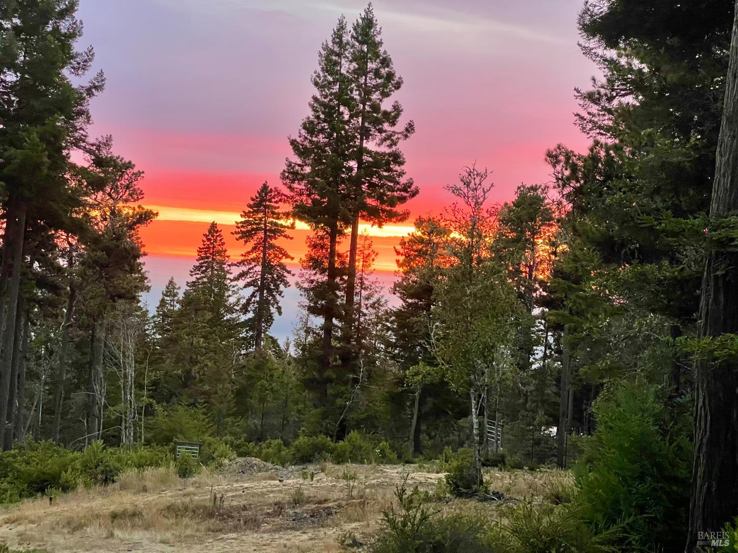 44035 Iversen Road Gualala, CA 95445 - Photo 11 of 18 a view of a forest