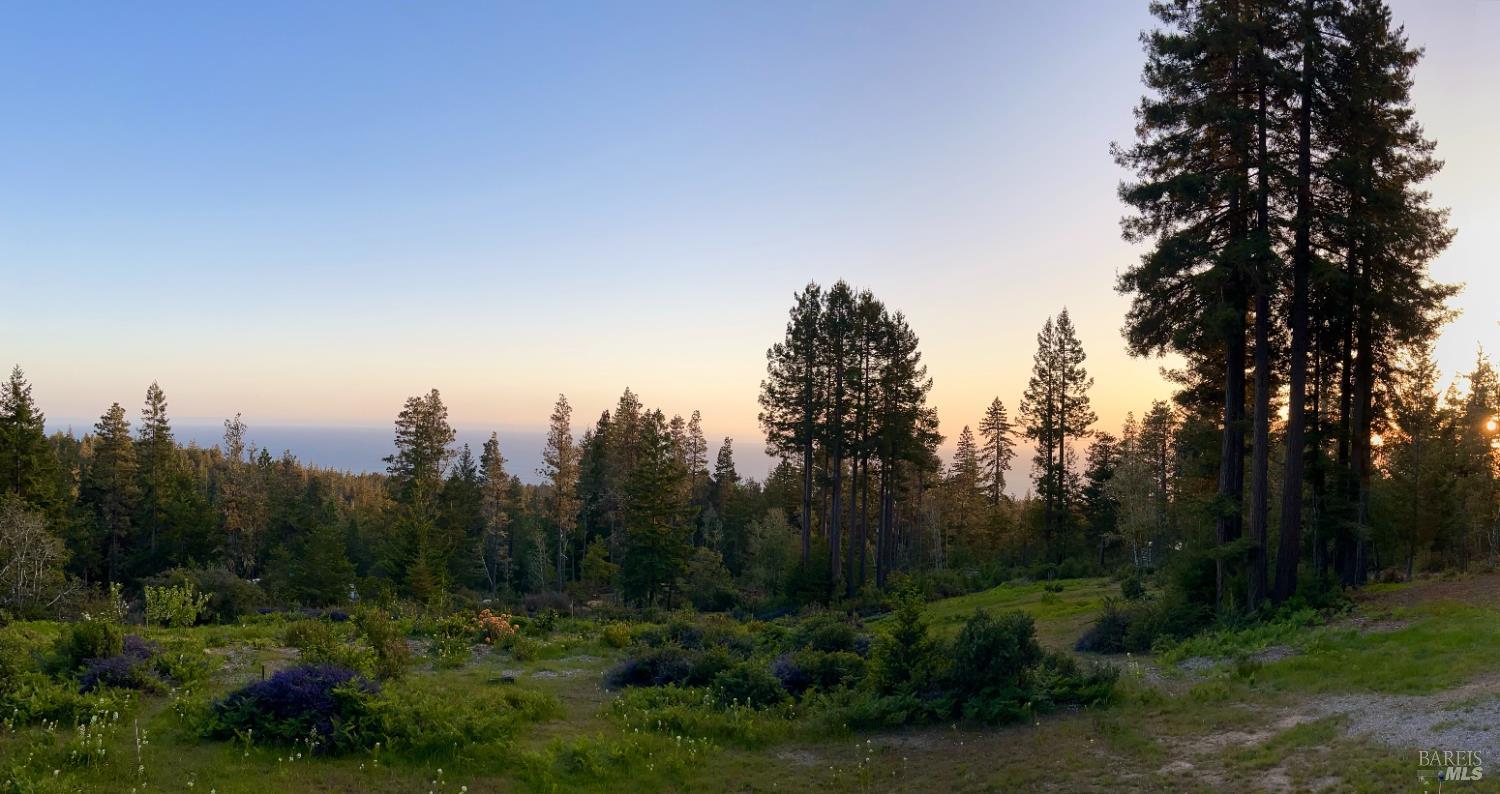 44035 Iversen Road Gualala, CA 95445 - Photo 12 of 18 a view of a city with lush green forest