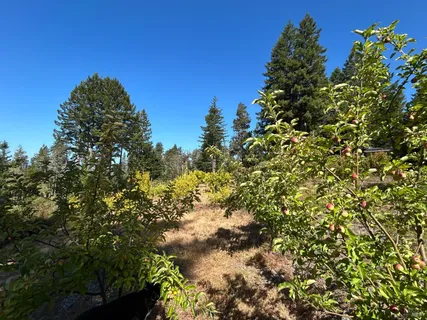 a view of outdoor space and yard