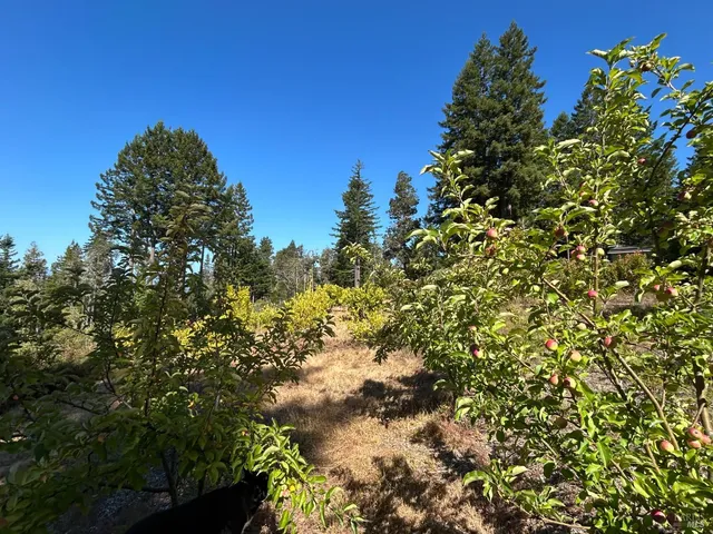 a view of outdoor space and yard