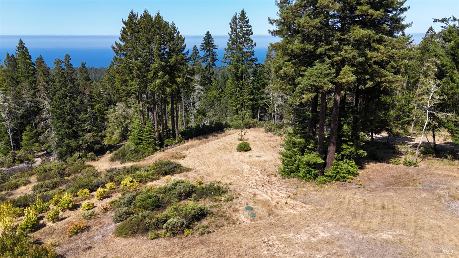 44035 Iversen Road Gualala, CA 95445 - Photo 5 of 18 a view of a yard with a tree