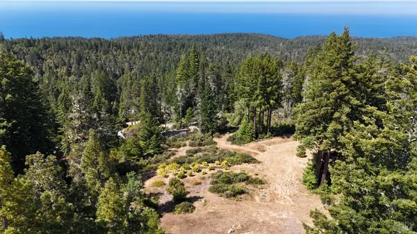 a view of a field with mountains in the background