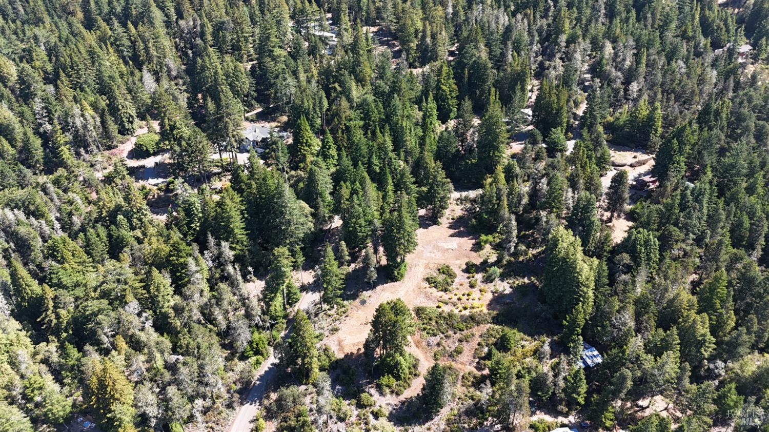 44035 Iversen Road Gualala, CA 95445 - Photo 7 of 18 a view of a tree