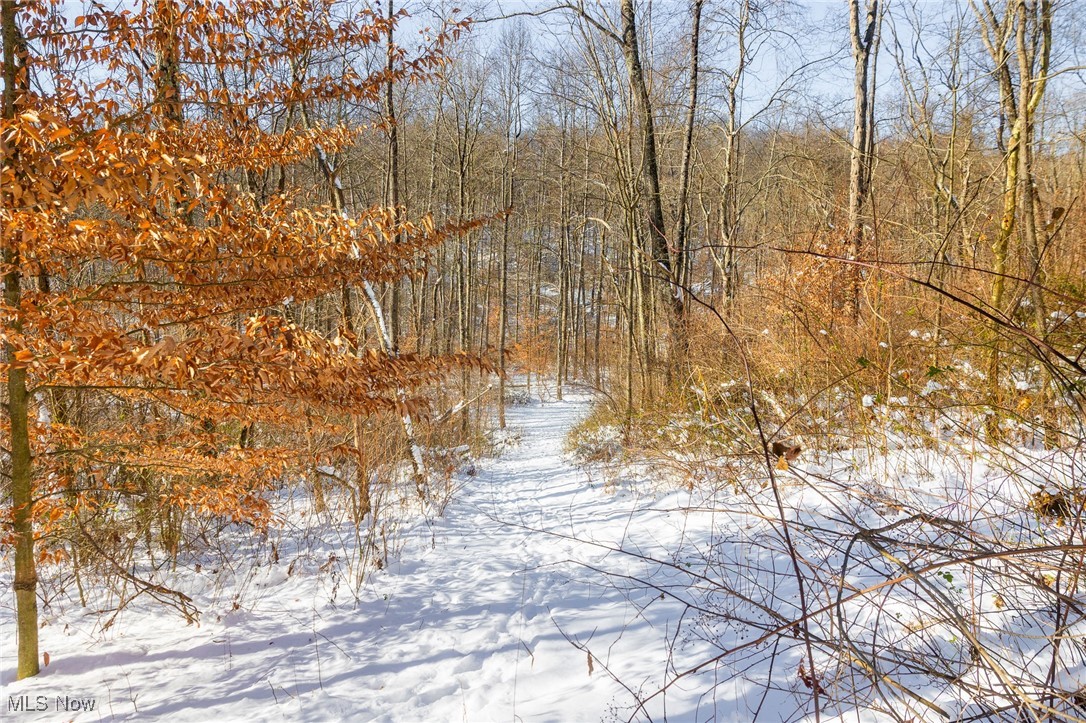 138 Township Road Coshocton, OH 43812 - Photo 23 of 47 Gallery Image 23
