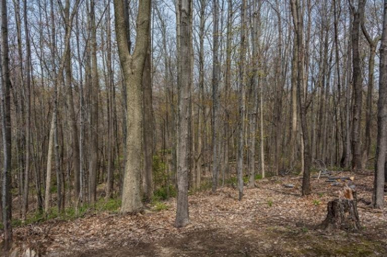 919 East Wagner Road Buchanan, MI 49107 - Photo 21 of 24 Additional Photo
