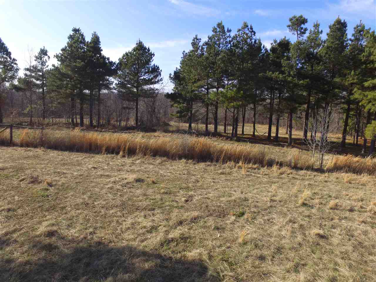 3443 Jeff Webb Road Ripley, TN 38063 - Photo 14 of 25